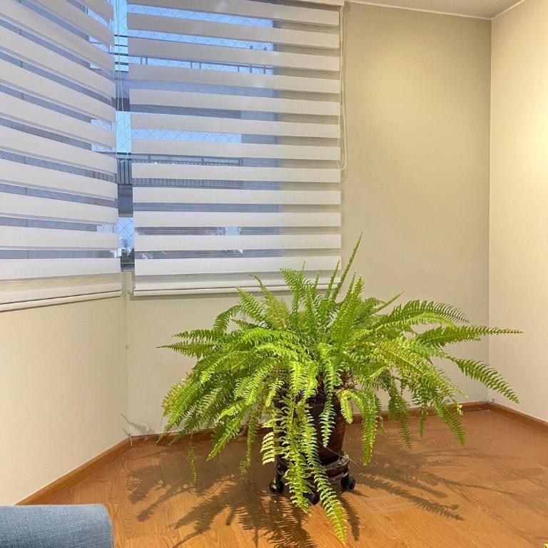 El Helecho Surco, in front of Barranco and Miraflores - Three-Bedroom Apartment - 30