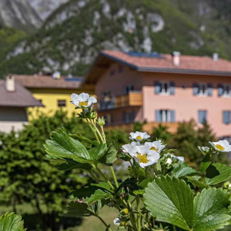 Ciclamino Superior Otto - Superior One-Bedroom Apartment with Balcony - 25
