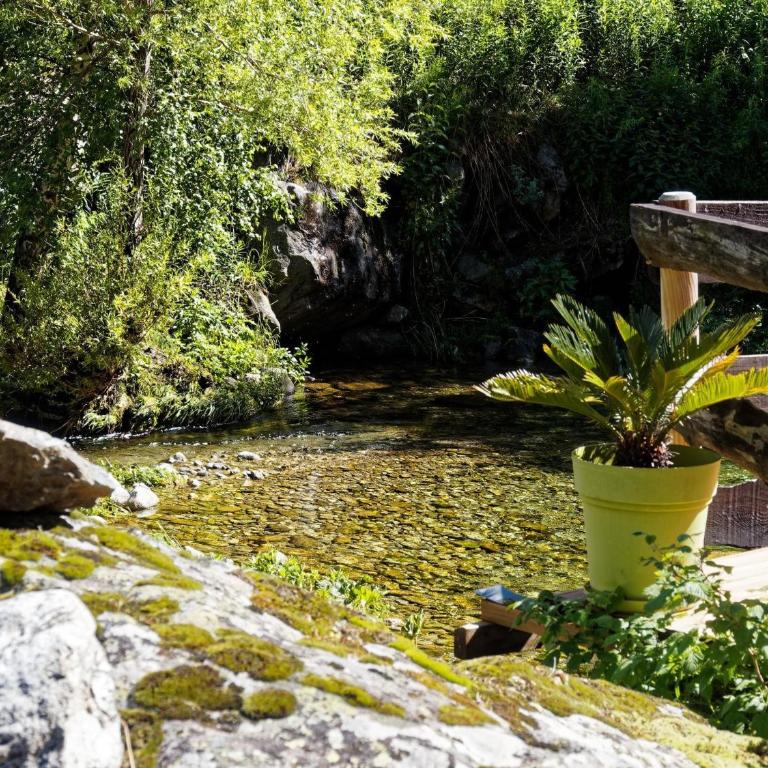 Gite de charme 3 étoiles - Chalet de 1 dormitorio - 23