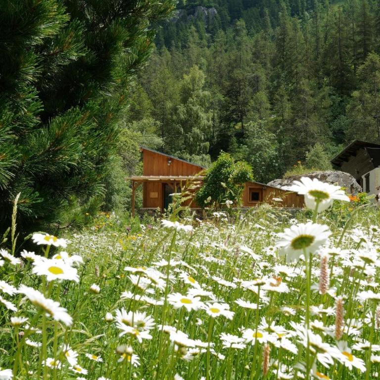 Gite de charme 3 étoiles - Chalet de 1 dormitorio - 20