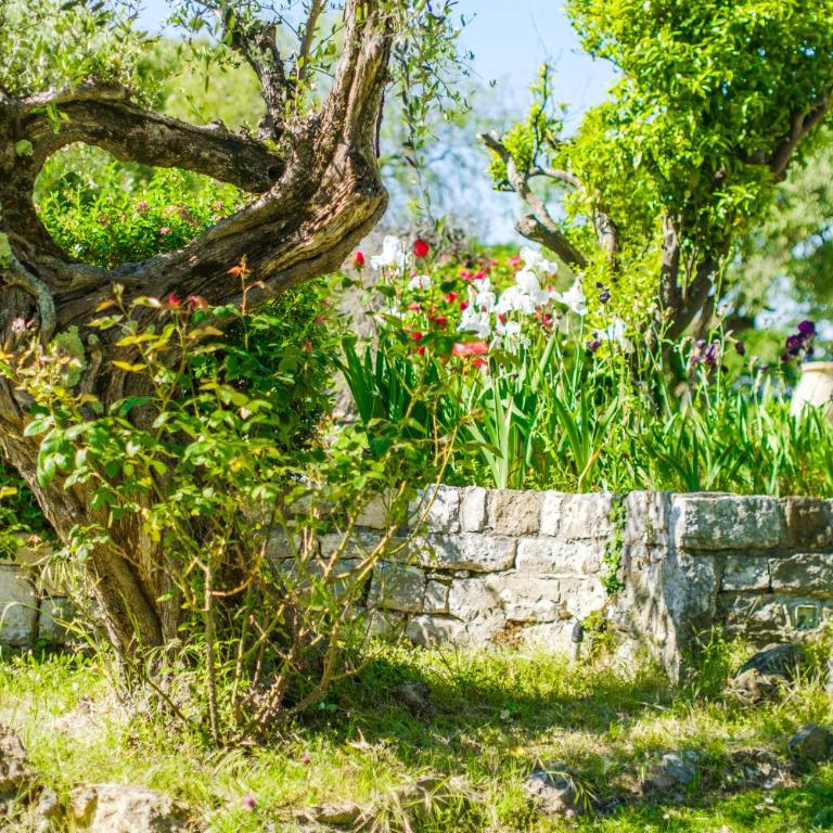 Le Mas Des Serens - Villa - Vue sur Jardin - 28