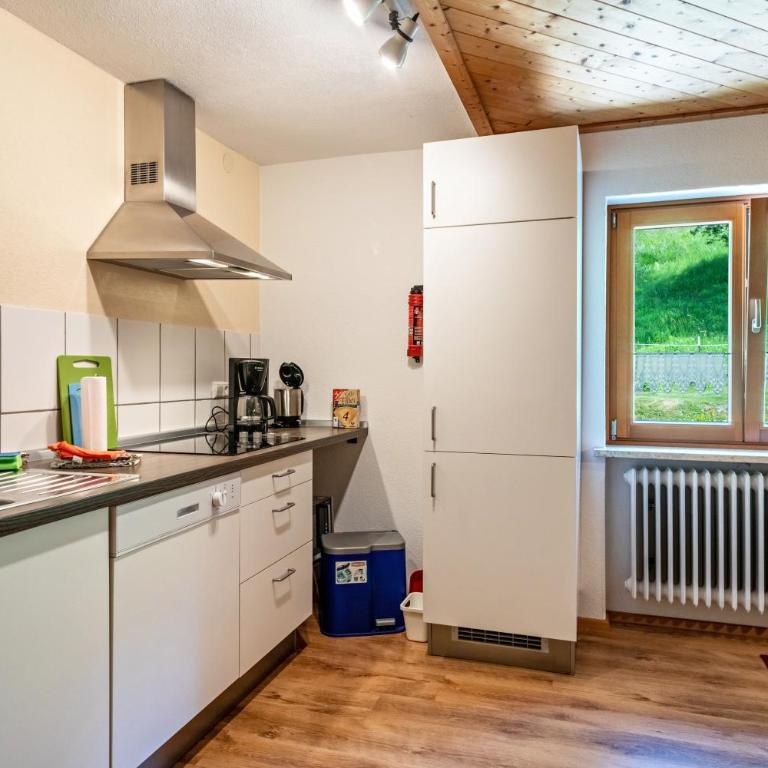 Balzerberg - Apartment mit 1 Schlafzimmer und Gartenblick - 2