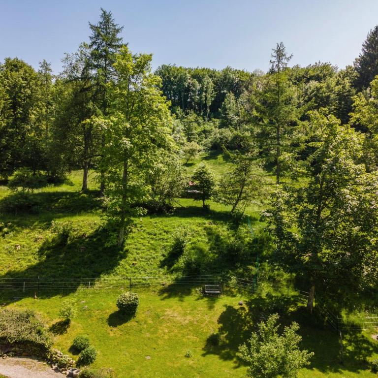 Balzerberg - Apartment mit 1 Schlafzimmer und Gartenblick - 31