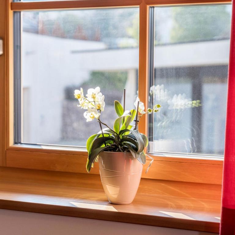 Apartments Gojer Vernatsch - Appartement 1 Chambre Supérieur avec Balcon - 20