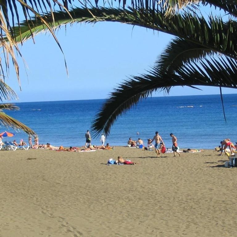 Las Tabaibas - Two-Bedroom Apartment - Oceanfront - 4