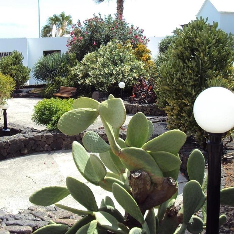 Las Tabaibas - Two-Bedroom Apartment - Oceanfront - 3
