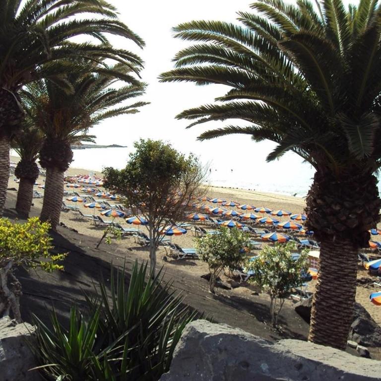 Las Tabaibas - Two-Bedroom Apartment - Oceanfront - 5