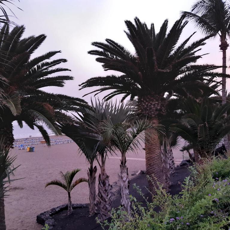 Las Tabaibas - Two-Bedroom Apartment - Oceanfront - 17