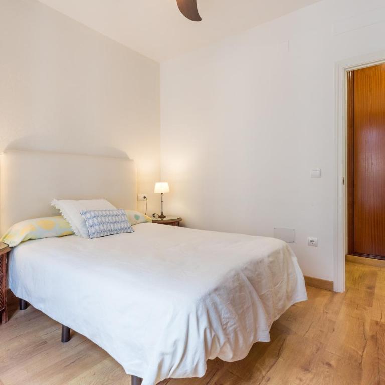 El Carmen Flat - Apartamento con terraza - 5