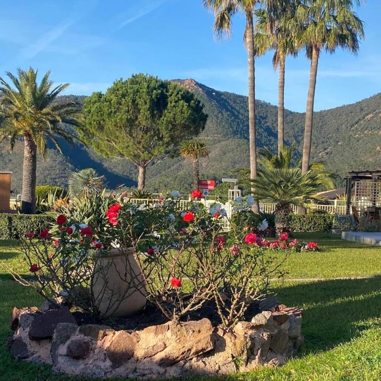 Vue Mer Et Jardin - Studio - Vue sur Mer - 13