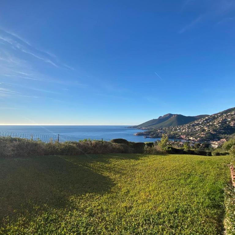 Vue Mer Et Jardin - Studio - Vue sur Mer - 12