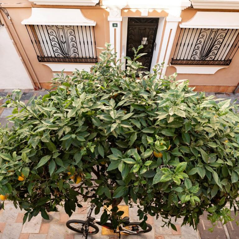 Town Apartment in Fuengirola Centre - Apartamento Deluxe de 2 dormitorios con balcón - 23