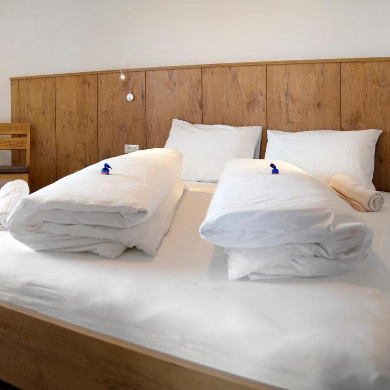 Residence Condor Apt Eidechsspitz - Appartamento Deluxe con 2 Camere da Letto e Vista Giardino - 15