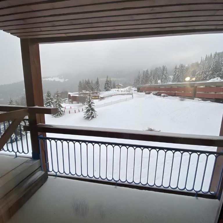 Studio Pierra Menta Vue Mont Blanc - Studio avec Balcon - 24