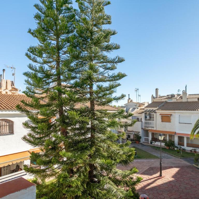 Casa en la playa con piscinas costa - Casa de 3 dormitorios - 28