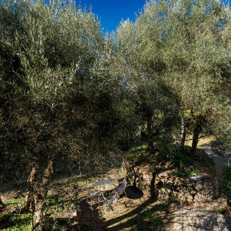 Agriturismo Montechiaro - Appartamento Deluxe con 2 Camere da Letto e Vista Giardino - 40