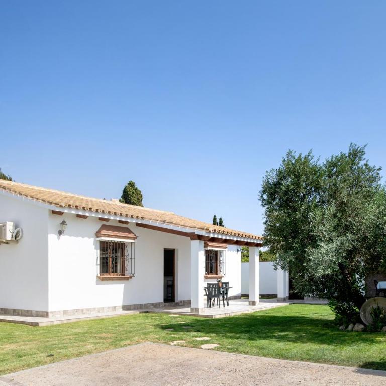 Villa Mendoza Olivo - Apartamento con terraza - 22