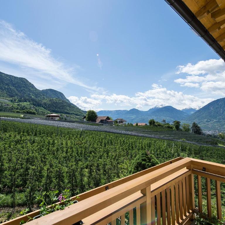 Gassbauerhof Ferienwohnung Ass - Appartamento Superior con 1 Camera da Letto e Balcone - 5