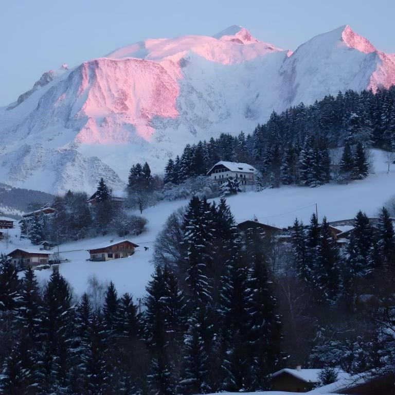 Gîte - La Ferme Du Mont Blanc - Two-Bedroom Deluxe Apartment with Garden View - 8