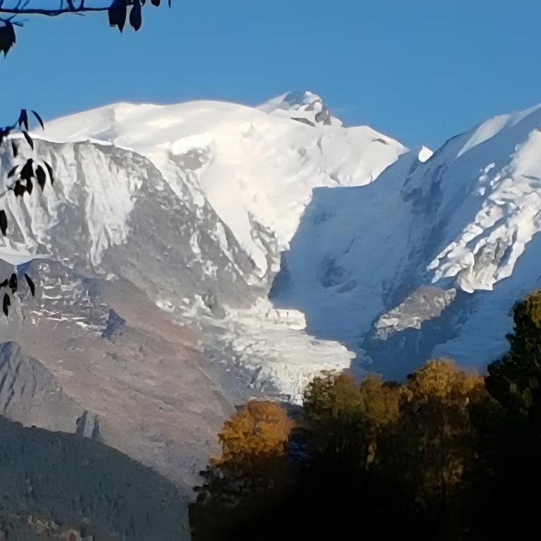 Gîte - La Ferme Du Mont Blanc - Two-Bedroom Deluxe Apartment with Garden View - 12