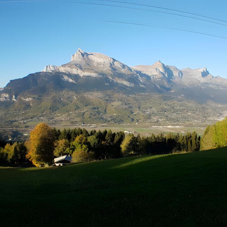 Gîte - La Ferme Du Mont Blanc - Two-Bedroom Deluxe Apartment with Garden View - 13