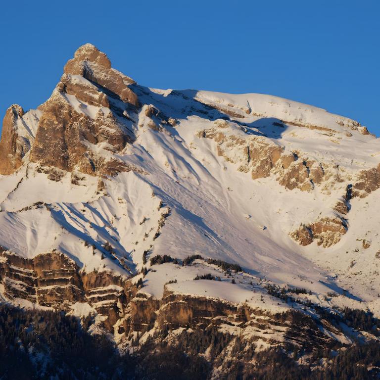 Gîte - La Ferme Du Mont Blanc - Two-Bedroom Deluxe Apartment with Garden View - 10