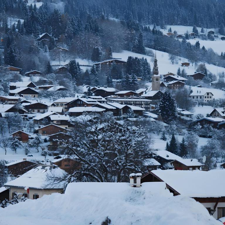 Gîte - La Ferme Du Mont Blanc - Two-Bedroom Deluxe Apartment with Garden View - 11