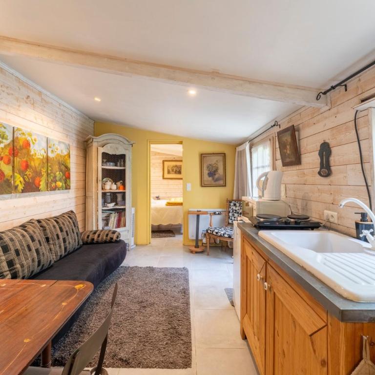 Studio de charme à Avignon - Apartamento de 1 dormitorio con vistas al jardín - 8