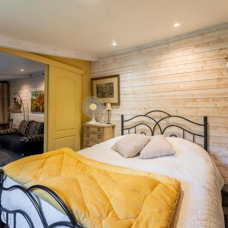 Studio de charme à Avignon - Apartamento de 1 dormitorio con vistas al jardín - 9