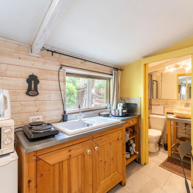 Studio de charme à Avignon - Apartamento de 1 dormitorio con vistas al jardín - 7