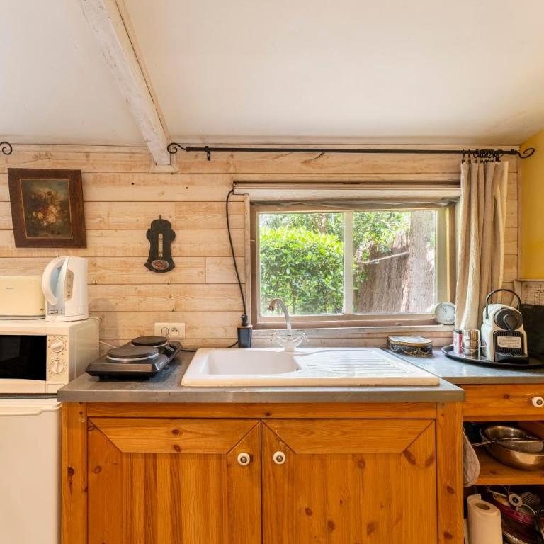 Studio de charme à Avignon - Apartamento de 1 dormitorio con vistas al jardín - 6