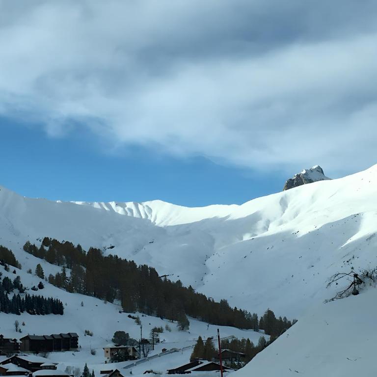 La Baita de la Foux D’allos - Appartement avec Terrasse - 13