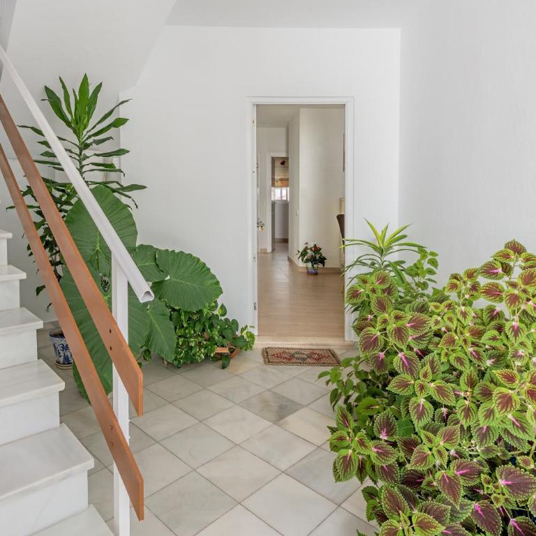Apartamento Los Naranjos en Vejer - Habitación Cuádruple con ducha - 21