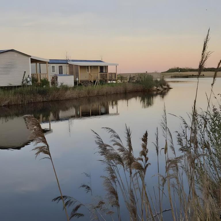 La Cabane du Bassin Mobil-home - Mobile Home - 17