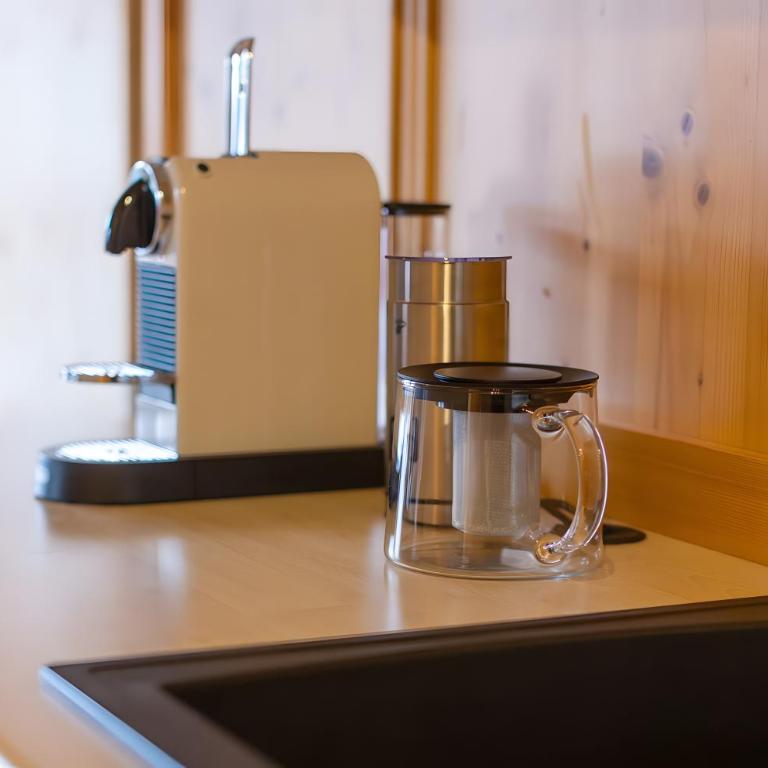 Steinadler Silberleiten - Superior One-Bedroom Apartment with Balcony - 12