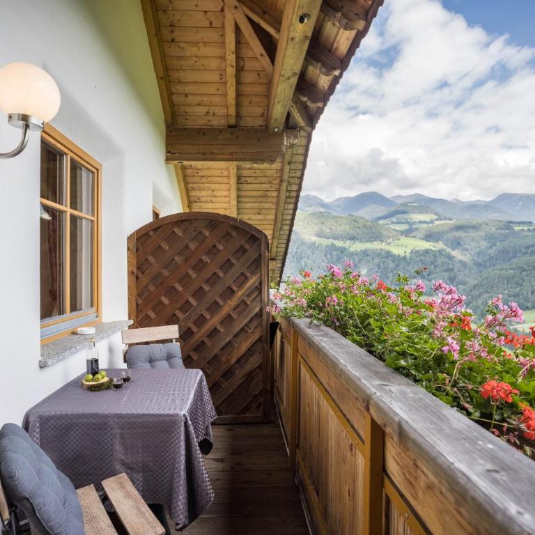 Oberplunerhof - Fewo Kronplatz - Appartamento Superior con 1 Camera da Letto e Balcone - 11