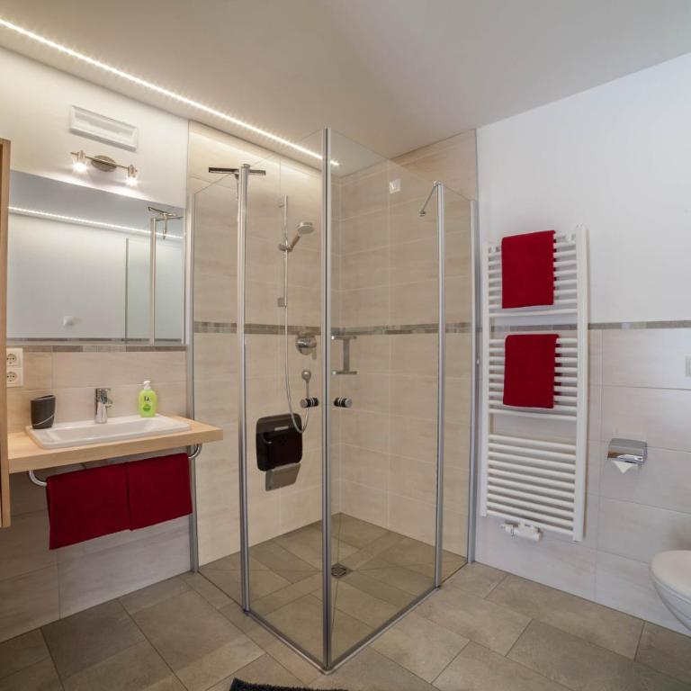 Ferienwohnung Haus Fliri - Apartamento de 1 dormitorio con jardín - 8