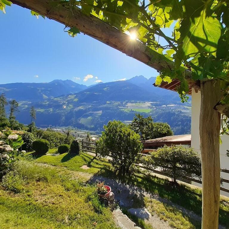 Panoramawohnung Annaheim - Apartamento Deluxe de 2 dormitorios con vistas al jardín - 28