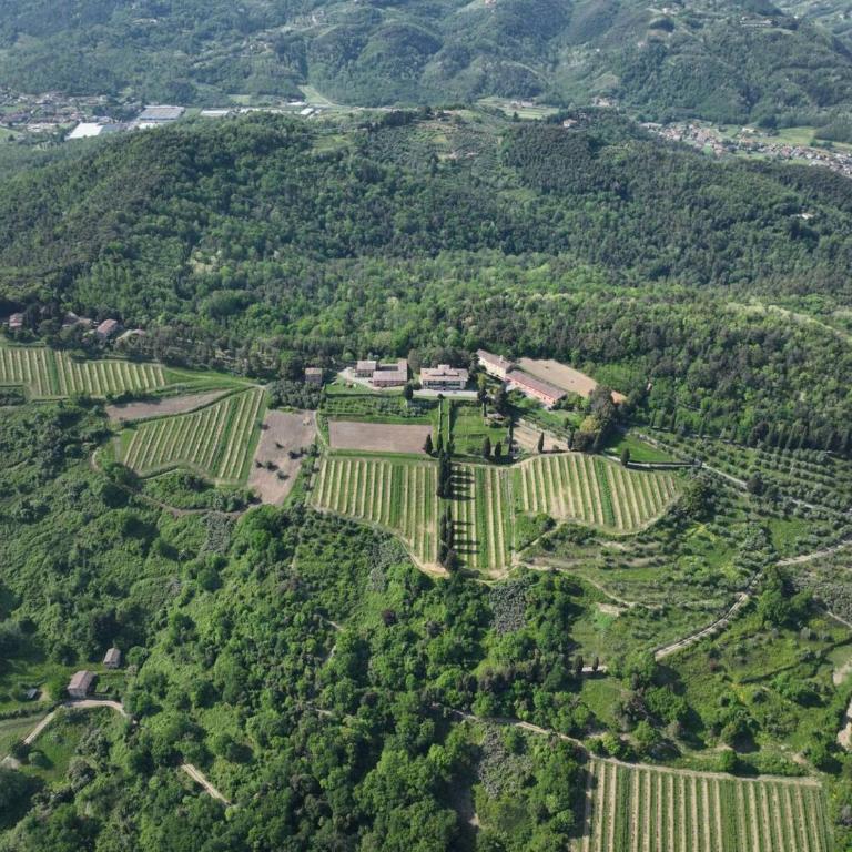 Casale Toscano a Lucca - Appartamento con doccia - 2