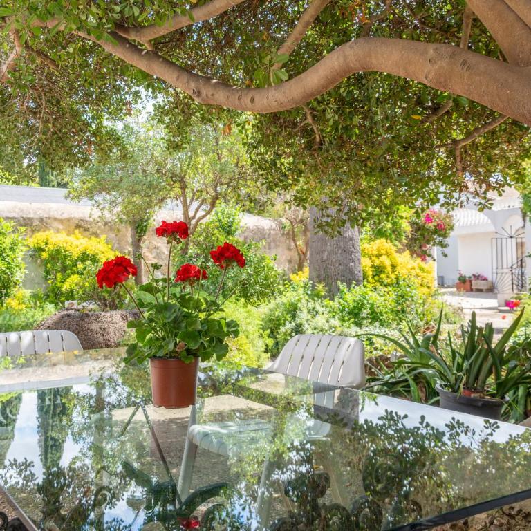 Moli dels Reis - Villa con vistas al jardín - 36