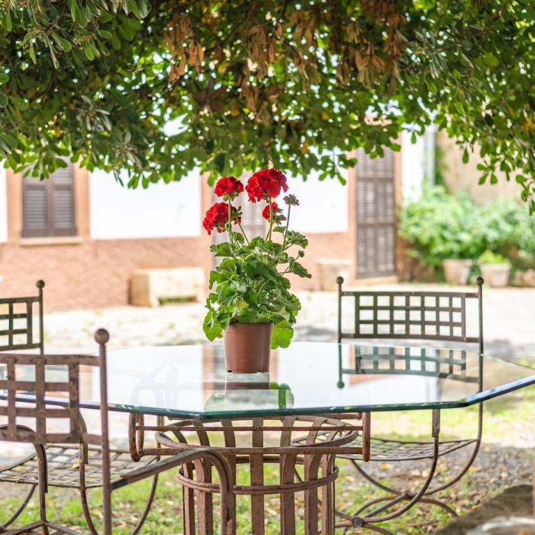 Moli dels Reis - Villa con vistas al jardín - 30