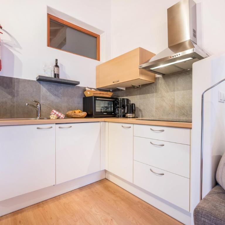 Raffreiderhof Apt Zirbe - Superior One-Bedroom Apartment with Balcony - 9