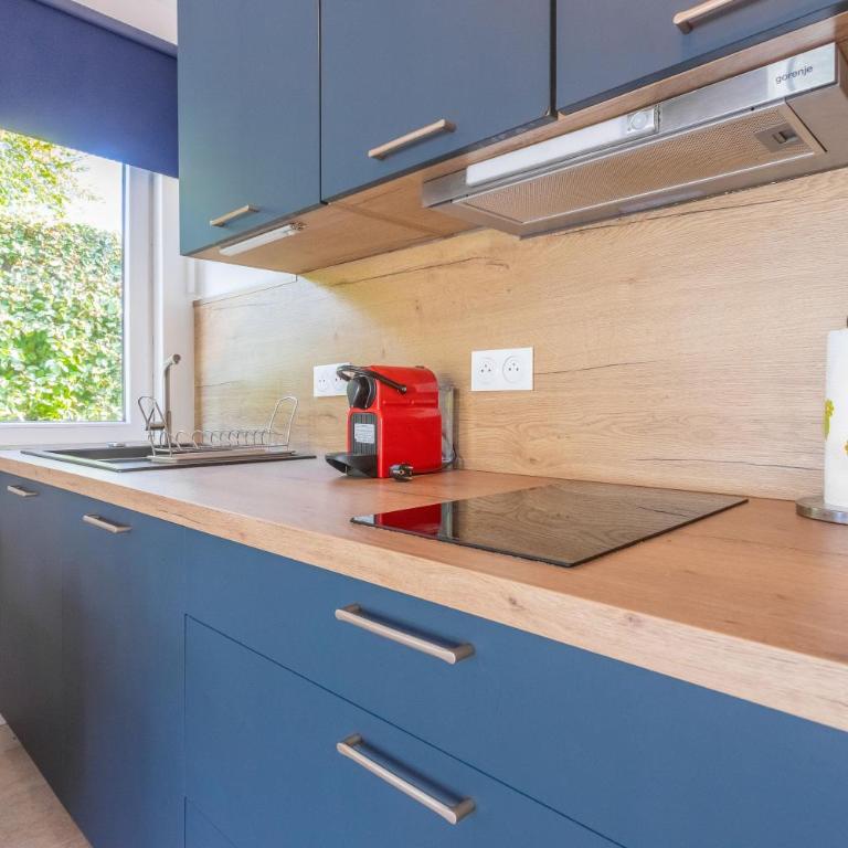Studio Bormes - One-Bedroom Apartment with Garden View - 7