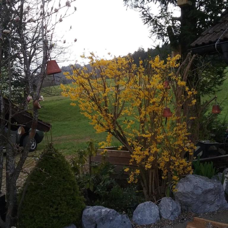 Haus Biggi - Ferienwohnung Säntis - Superior Apartment mit 1 Schlafzimmer und Balkon - 15