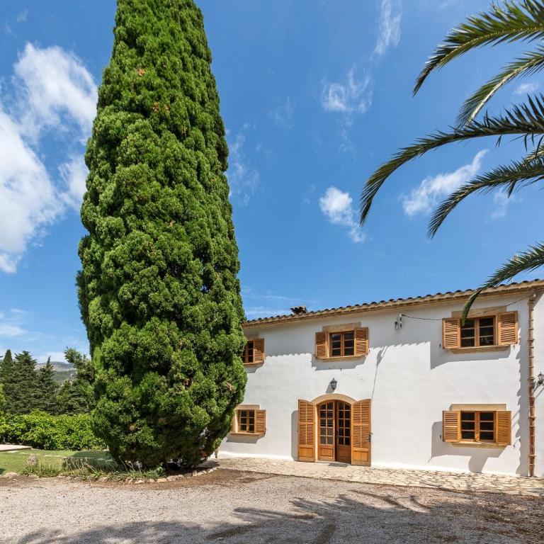 Villa La Plana - Villa con vistas al jardín - 4