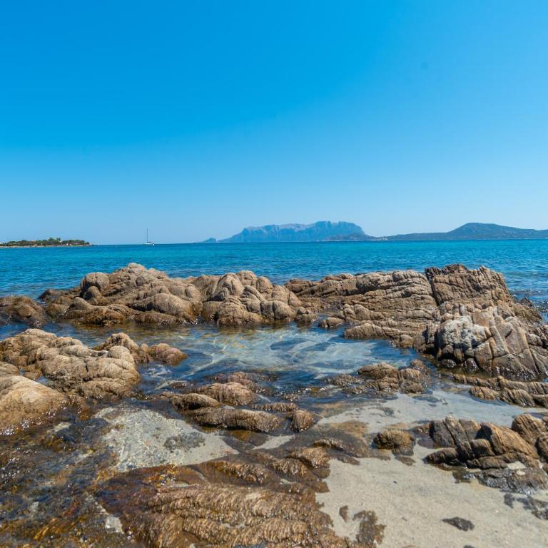 Appartamento del Pellicano - Casa con 2 Camere da Letto - 22