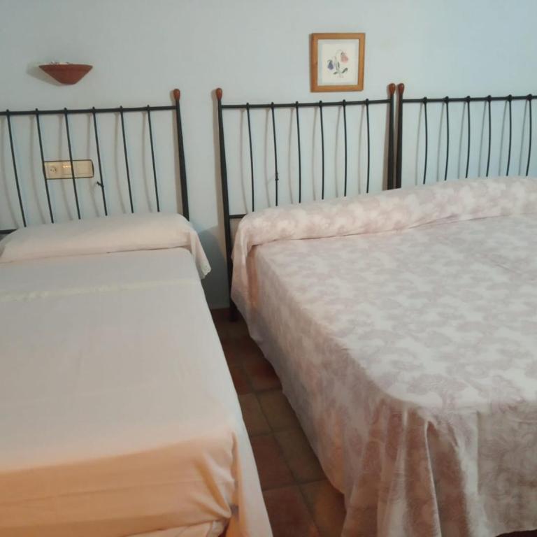 Ecoagroturismo Las Nieves - Apartamento Deluxe de 2 dormitorios con vistas al jardín - 8