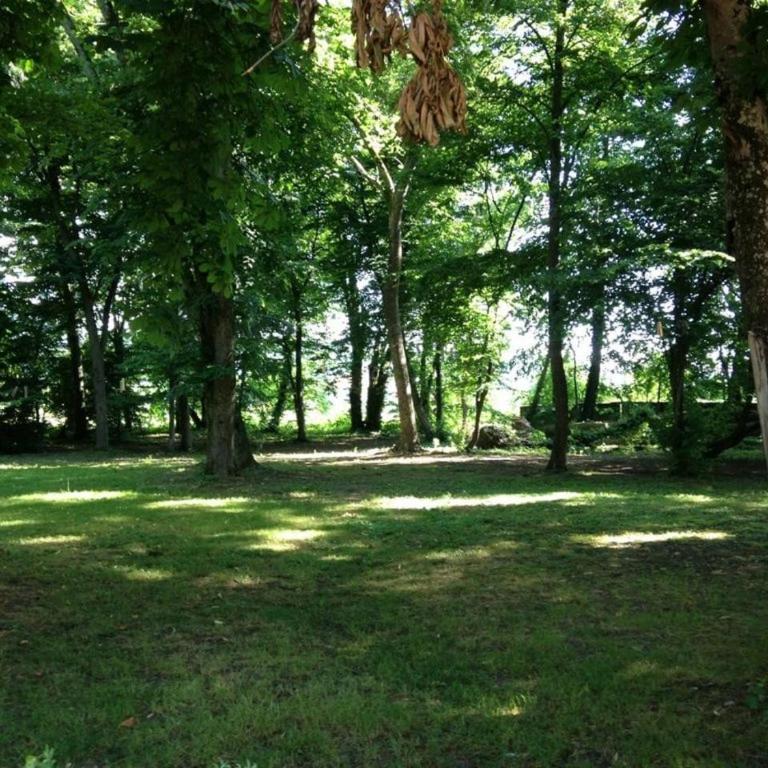 Location Au Pied Du Vercors - Maison 3 Chambres - 22
