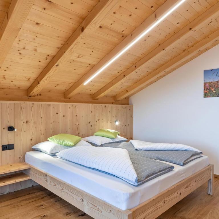 Parliflhof Apt Laugenblick - Apartamento Deluxe de 2 dormitorios con vistas al jardín - 5