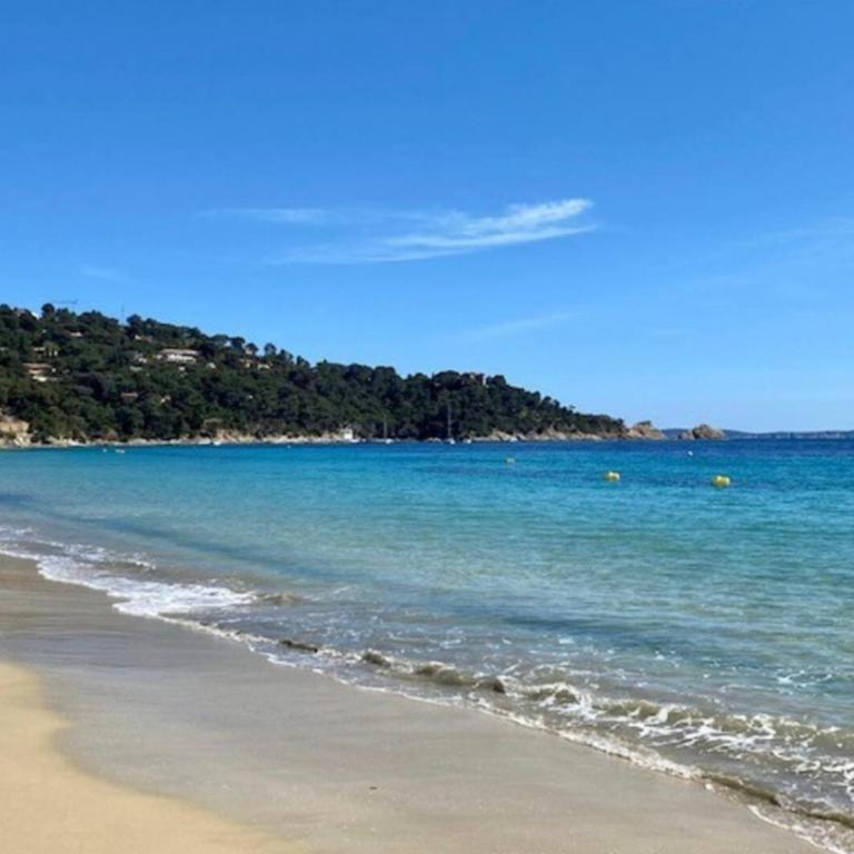 Appartement Le Lavandou - Cavalière - Studio with Terrace - 25